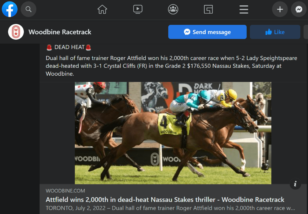 Woodbine Woodbine